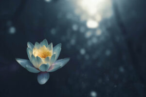 Yoga Meditation 54