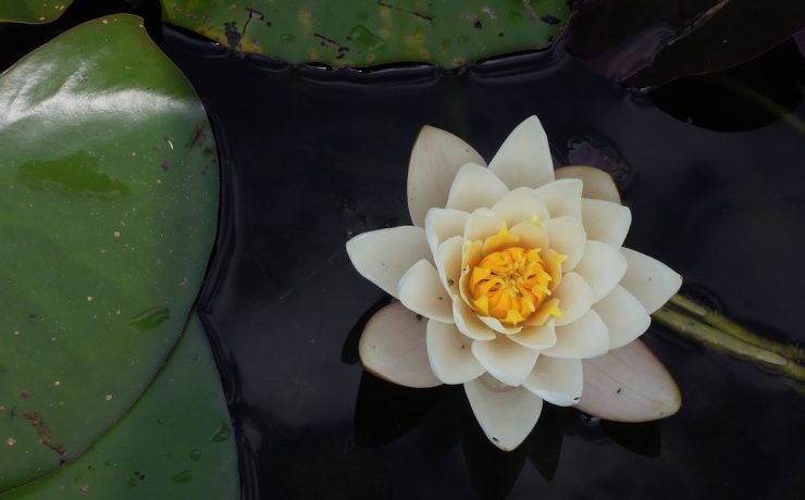Yoga Meditation 62
